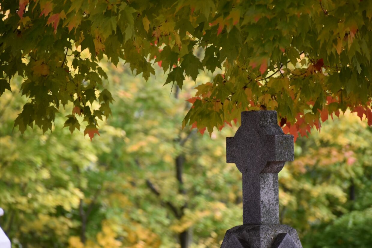 a cemetery with a cross on it and trees in the background